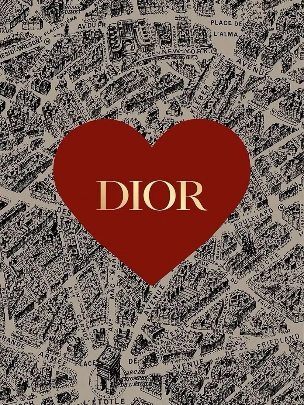 Dior Black and White Text Print Home Accent